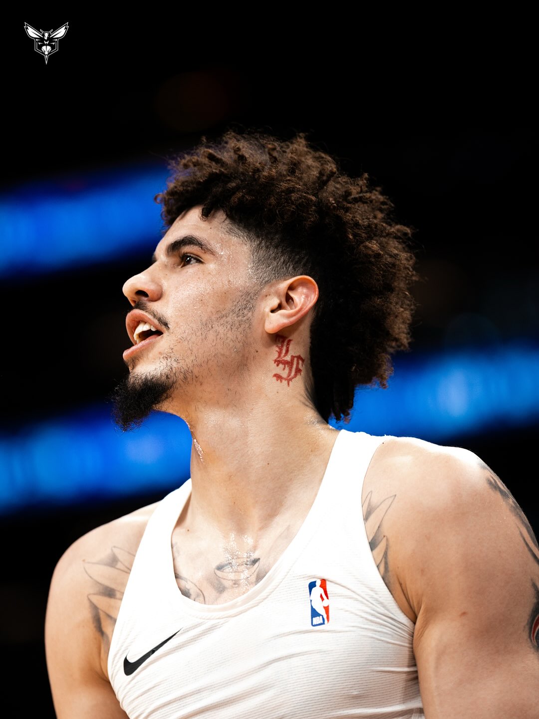 img, 黄蜂官方晒, 新赛季能否